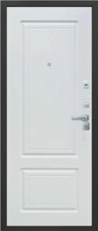 ТОЛСТЯК БУКЛЕ ЧЕРНЫЙ БЕЛЫЙ ЯСЕНЬ